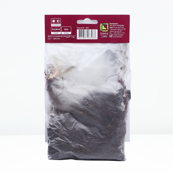 Астра новобельгийская «Фэллоушип»,корневище в торфогрунте, р-р I, 1 шт. Астра новобельгийская «Фэллоушип»,корневище в торфогрунте, р-р I, 1 шт.