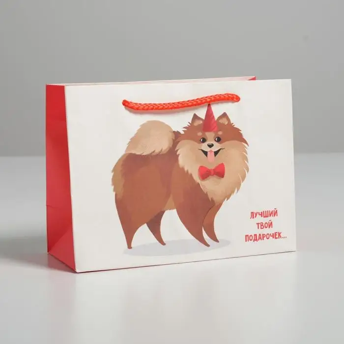 Пакет подарочный, упаковка, «Лучший подарочек», 14,5 х 19,5 х 8,5 см