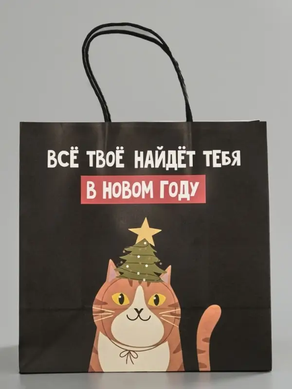 Пакет подарочный крафт &laquo;Найду новом году&raquo;, 22&times;22&times;11 см