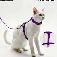 Комплект для кошек, ОШ 16.5-27 см, ОГ 21-35 см, ширина 1 см, поводок 120 см, фиолетовый