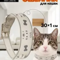 Ошейник для кошек &laquo;Пижон. Котя&raquo;, 30&times;1 см, со светоотражающим покрытием, серый