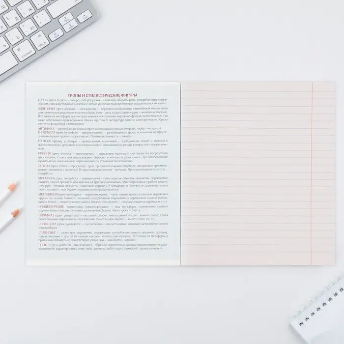 Тетрадь в линейку, предметная, 48 л.,на скрепке, А5 &laquo;ПРИРОДА. Литература&raquo;