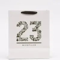 Пакет подарочный ламинированный, упаковка, &laquo;23 февраля&raquo;, ML 23&times;27&times;11.5 см
