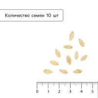 Семена Огурец &laquo;Зозулёнок&raquo;, F1, 10 шт., &laquo;Гавриш&raquo;