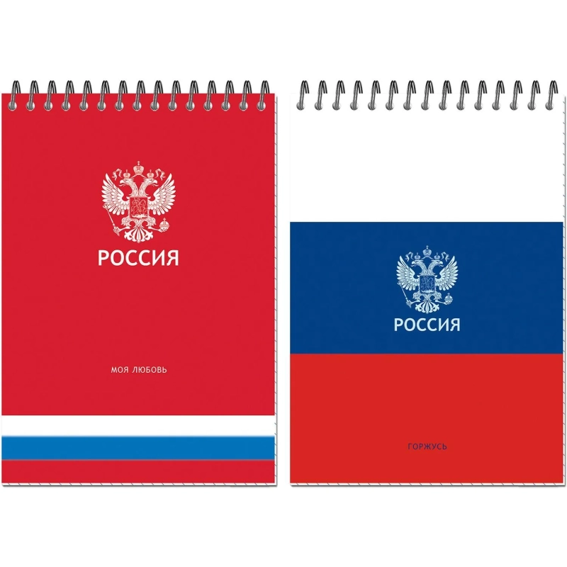 Блокнот А5 Россия 50л УФ лак клетка, спираль 2 дизайна, ассорти, 3344