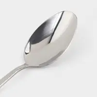 Ложка столовая Magistro &laquo;Блинк&raquo;, длина 22 см, нержавеющая сталь, серебристая