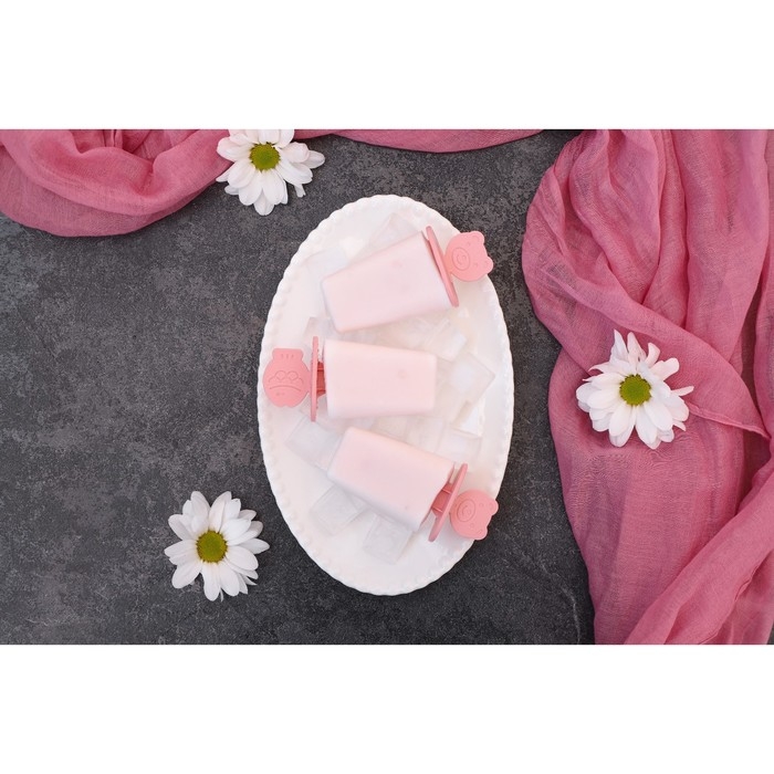 Форма для мороженого Доляна «Нега», 6 ячеек, цвет МИКС Форма для мороженого Доляна «Нега», 6 ячеек, цвет МИКС