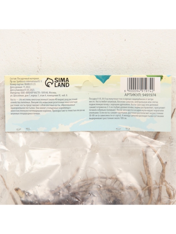 Хоста Blue Mouse Ears, корневище в пакете с торфогрунтом, р-р I, размер S,1 шт.