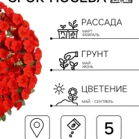 Семена цветов Петуния &laquo;Джоконда мини&raquo;, F1, алая, 5 шт., Farao, &laquo;АЭЛИТА&raquo;