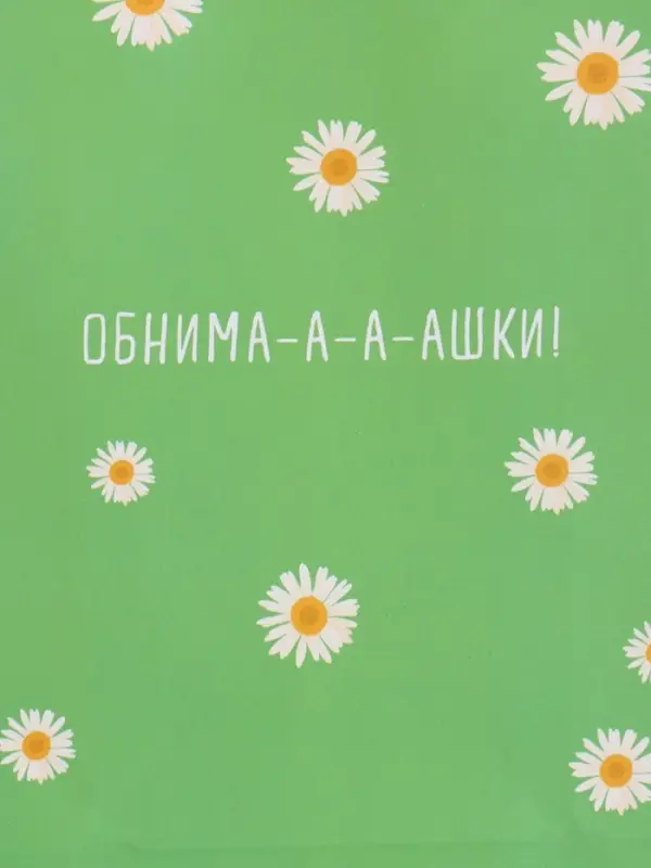 Пакет подарочный "Ромашки - обнимашки" ламинированный 18 х 22,3 х 10 см