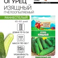 Семена Огурец &laquo;Изящный&raquo;, 0.3 г, &laquo;Рецепты дедушки Никиты&raquo;