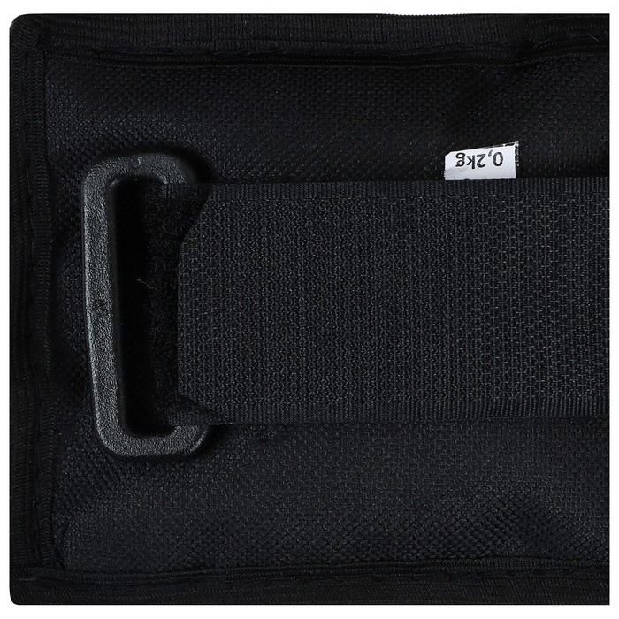 Утяжелители, 2 шт. × 0,2 кг, цвет МИКС Утяжелители, 2 шт. × 0,2 кг, цвет МИКС