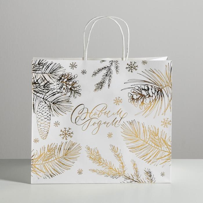 Пакет подарочный новогодний крафтовый Best winter, 32 х 28 х 15 см Пакет подарочный новогодний крафтовый Best winter, 32 х 28 х 15 см