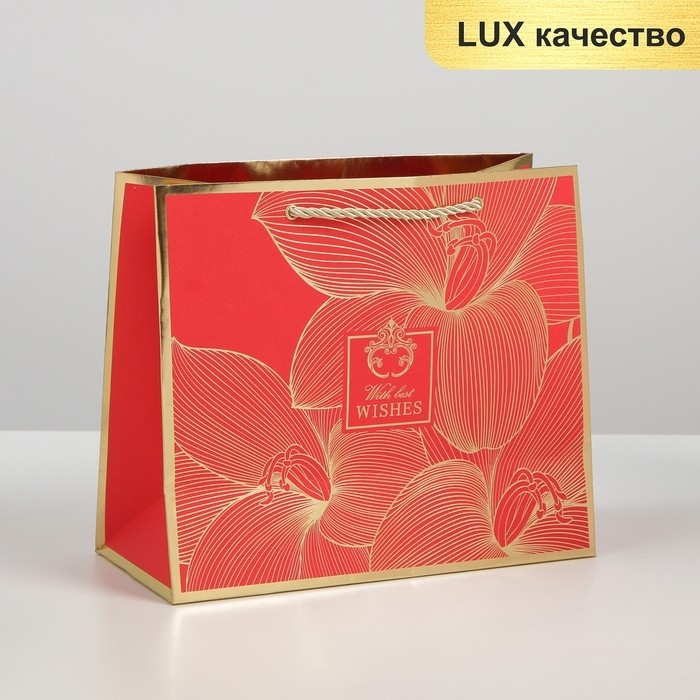 Пакет подарочный ламинированный, упаковка, «With best wishes», 27 х 23 х 12 см