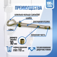 Анкерный болт ЛОМ, с кольцом, оцинкованный, 12х100 мм, 25 шт