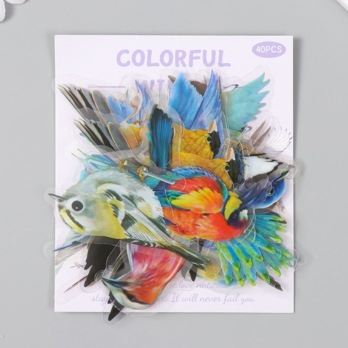 Наклейки для творчества пластик PVC Наклейки для творчества пластик PVC "Красочные птицы" набор 40 шт 9х10.5 см