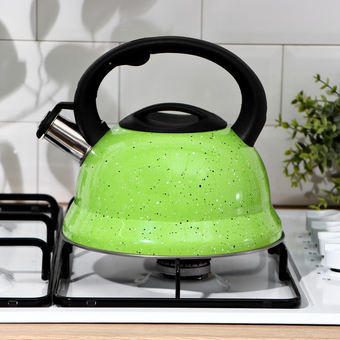Чайник со свистком из нержавеющей стали Доляна «Рио», 2,8 л, фиксированная ручка, цвет зелёный Чайник со свистком из нержавеющей стали Доляна «Рио», 2,8 л, фиксированная ручка, цвет зелёный