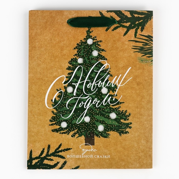 Пакет подарочный новогодний крафтовый вертикальный «Winter», MS 18 х 23 х 10 см, Новый год Пакет подарочный новогодний крафтовый вертикальный «Winter», MS 18 х 23 х 10 см, Новый год