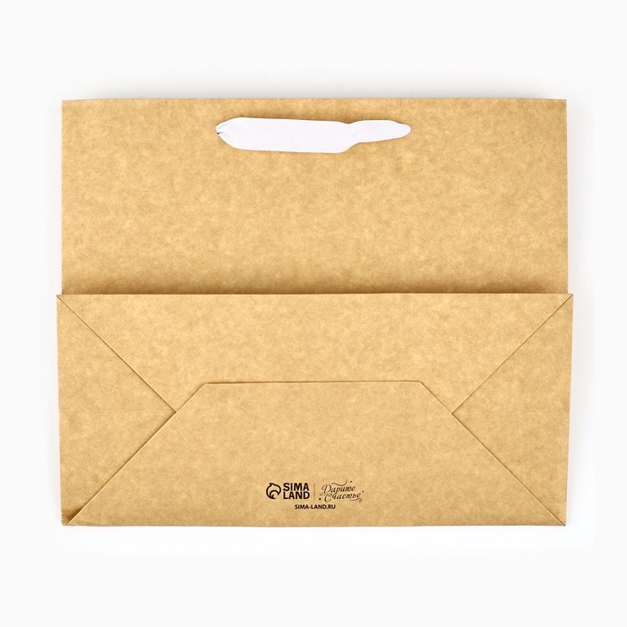 Пакет подарочный новогодний крафтовый с пластиковым окном &laquo;Новогодняя пора&raquo;, 24 х 20 х 11см