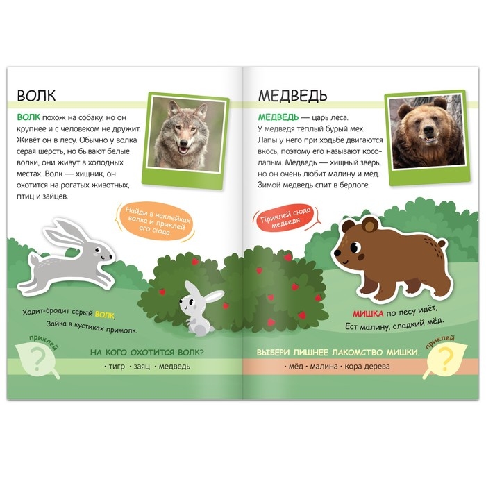 Книжка с наклейками «Жители леса. Читай, играй, узнавай», 16 стр. Книжка с наклейками «Жители леса. Читай, играй, узнавай», 16 стр.