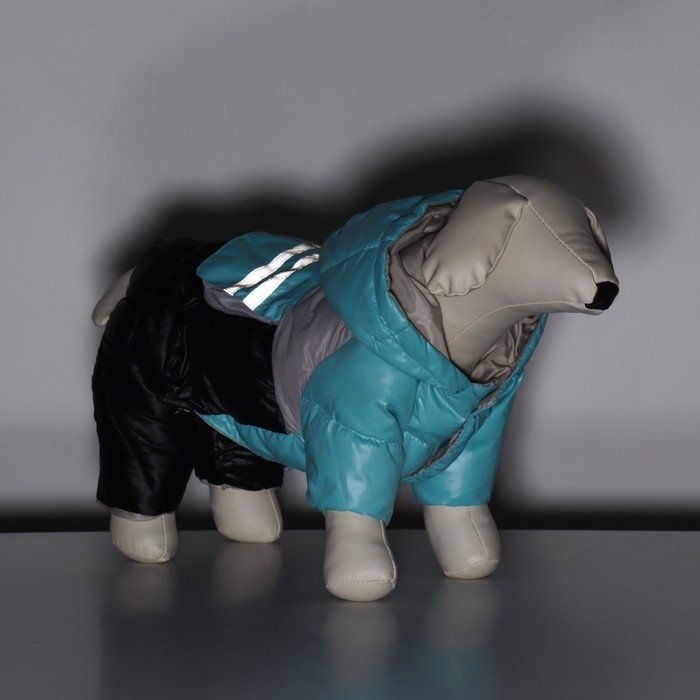 Комбинезон Комбинезон "Анорак" светоотражающий, размер 8 (ДС 19 см, ОГ 30, ОШ 22 см), чёрно-голубой