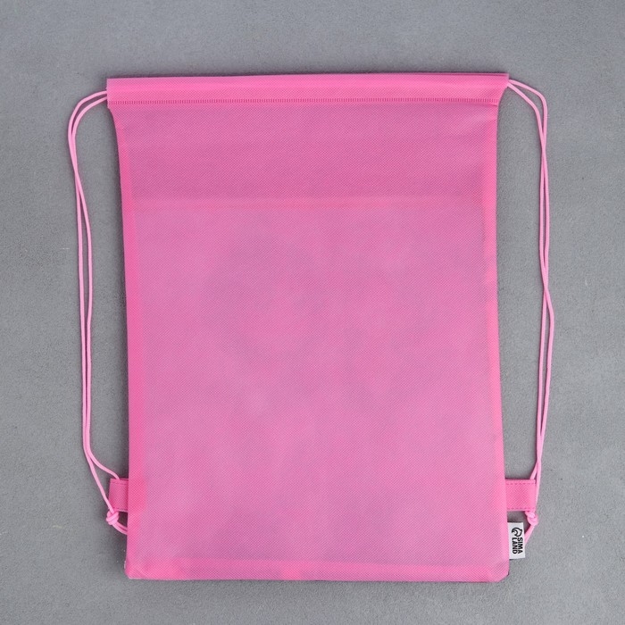 Мешок для обуви «Школьницы» полиэстер, размер 30 х 40 см Мешок для обуви «Школьницы» полиэстер, размер 30 х 40 см