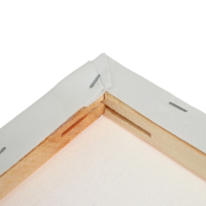 Холст на подрамнике, хлопок 100%, 1,6 х 25 х 25 см, акриловый грунт, мелкозернистый, 280 г/м² Холст на подрамнике, хлопок 100%, 1,6 х 25 х 25 см, акриловый грунт, мелкозернистый, 280 г/м²