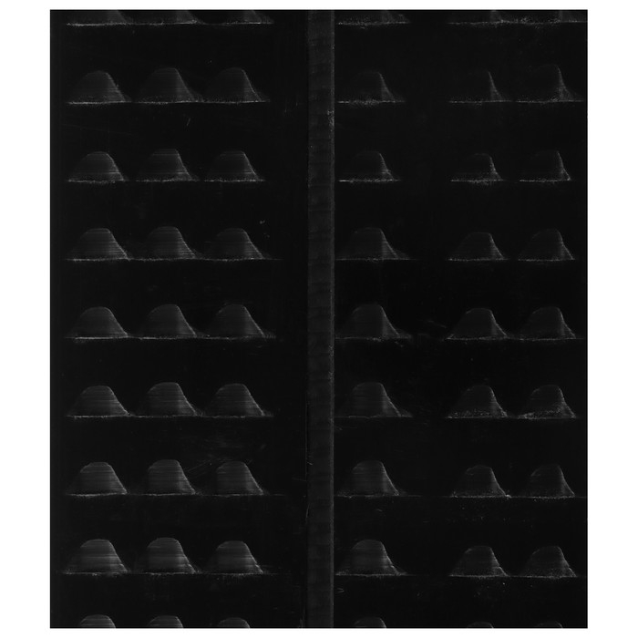 Лыжи дерево-пластиковые «Лесные», 165 см, с насечкой, цвета МИКС