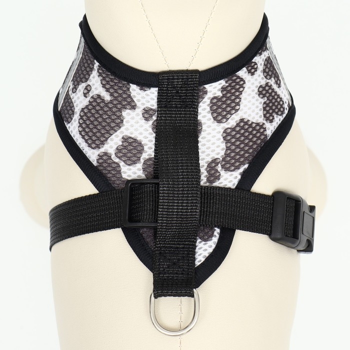 Комплект для собак 12-15 кг, размер XL, поводок 120 х 1,5 см ОШ 38 см, ОГ 57 см