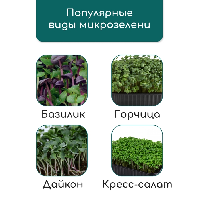 Коврик из кокосового волокна, для выращивания микрозелени, 50 × 25 см, Greengo Коврик из кокосового волокна, для выращивания микрозелени, 50 × 25 см, Greengo