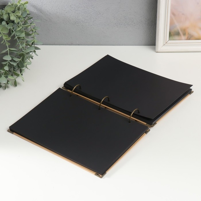 Фотоальбом на кольцах 30 листов Фотоальбом на кольцах 30 листов "Признание в любви" чёрные листы 26х18 см