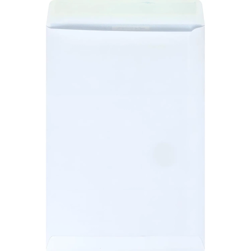 Пакет Белый B4стрип Businesspack250х353 120г 200шт/уп/5021