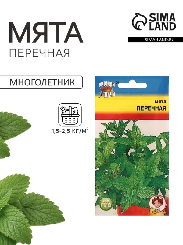 Семена Мята &laquo;Перечная&raquo;, 0.03 г, &laquo;Урожай удачи&raquo;