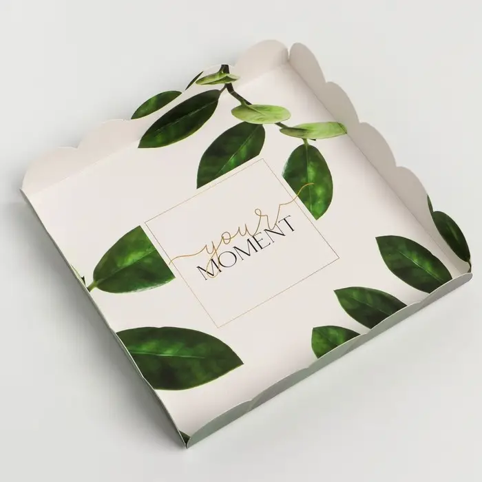 Коробка для печенья, кондитерская упаковка с пластиковой крышкой, «Эко», 18 х 18 х 3 см Коробка для печенья, кондитерская упаковка с пластиковой крышкой, «Эко», 18 х 18 х 3 см