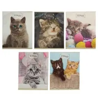 Тетрадь 48 листов в клетку Calligrata «Милые котята», обложка мелованный картон, блок №2, белизна 75% (серые листы), МИКС