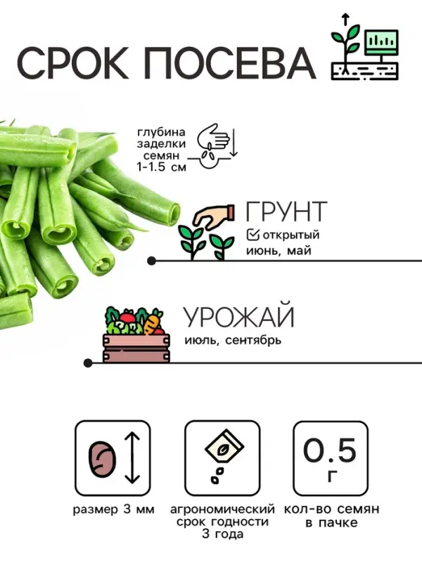 Семена Фасоль спаржевая &laquo;Сакса без волокна 615&raquo;, 3 г, &laquo;Рецепты дедушки Никиты&raquo;