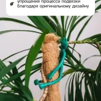 Подвязка для растений &laquo;Лягушка&raquo;, набор 2 шт., зелёная, Greengo