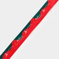 Лента атласная &laquo;Пусть сбываются мечты&raquo;, 2.5 см &times; 23&plusmn;1 м, красная