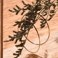 Серьги кольца QF &laquo;Классика&raquo;, d=8 см, цвет золото