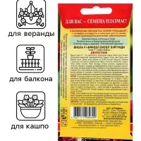 Семена Виола "Фриззл Сиззл", бургунди, F1, 5 шт Семена Виола "Фриззл Сиззл", бургунди, F1, 5 шт