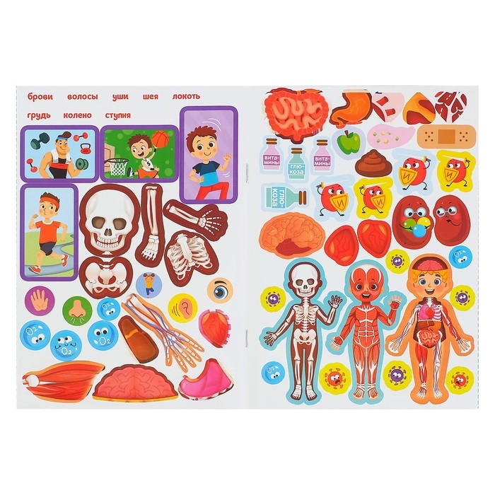 Наклейки «Как устроено моё тело», 16 стр. Наклейки «Как устроено моё тело», 16 стр.