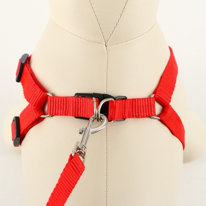 Комплект  Комплект "Базис", поводок 120 х 1,5 см, шлейка 32-46 х 1,5 см, красный