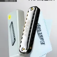 Губная гармошка Music Life T10-1 C BLACK диатоническая, 10 отверстий, с футляром