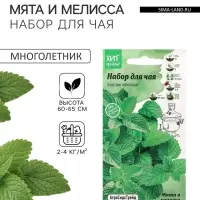 Семена Мята и мелисса &laquo;Набор для чая&raquo;, 0.23 г, смесь, &laquo;АгроСидсТрейд&raquo;