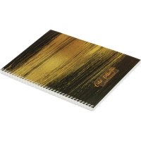 Бизнес-тетрадь А4 96л Attache Selection Gold Collection клет,спир,карт,черн