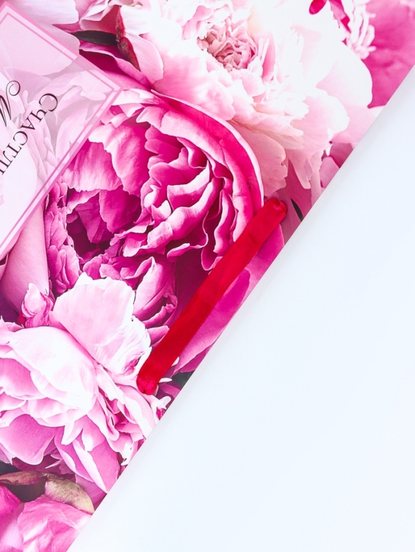 Пакет подарочный ламинированный горизонтальный «Моменты», XL 49 × 40 × 19 см