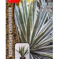 Семена цветов Агава Сизаль 10шт. 12.29 г.