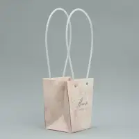 Переноска для цветов «Нюд», 13.5 х 15 х 9.5 см Переноска для цветов «Нюд», 13.5 х 15 х 9.5 см