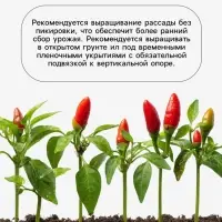 Семена Перец, &laquo;Фавилла&raquo;, F1, 5 шт., Seminis, &laquo;Агрос&raquo;