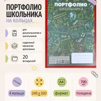 Папка-портфолио А4, Calligrata &laquo;Веселая школа&raquo;, пластиковая, на 4 кольцах, для школьника, 20 файлов